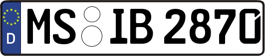MS-IB2870