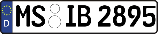 MS-IB2895