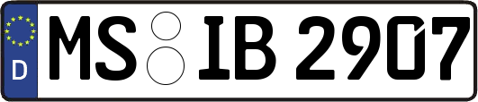 MS-IB2907