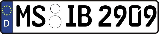 MS-IB2909
