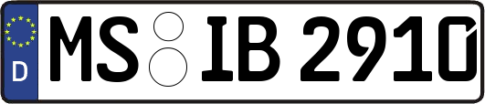 MS-IB2910