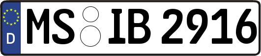 MS-IB2916