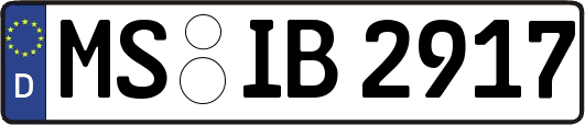 MS-IB2917