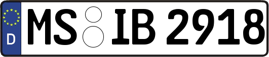 MS-IB2918