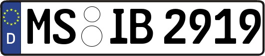 MS-IB2919