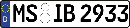 MS-IB2933