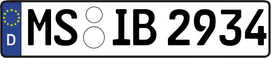 MS-IB2934