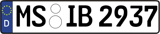 MS-IB2937