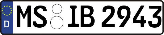MS-IB2943