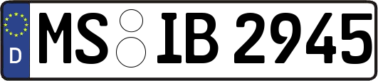 MS-IB2945