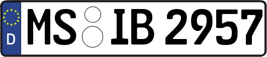 MS-IB2957