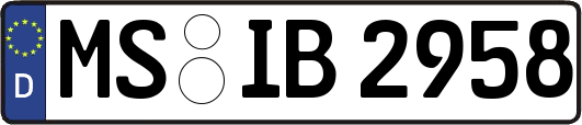 MS-IB2958