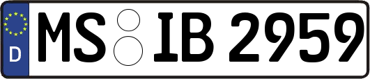 MS-IB2959