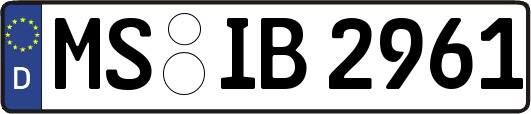 MS-IB2961