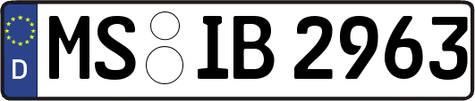 MS-IB2963
