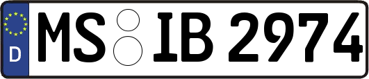 MS-IB2974