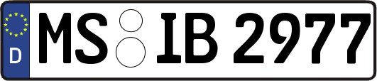 MS-IB2977