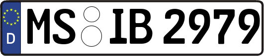 MS-IB2979