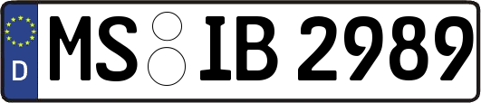 MS-IB2989