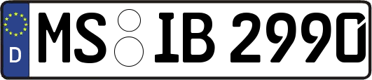 MS-IB2990
