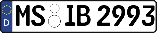 MS-IB2993