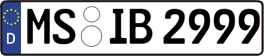 MS-IB2999