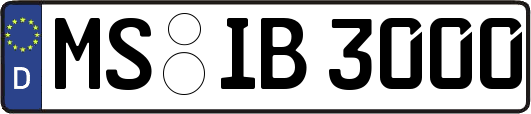 MS-IB3000