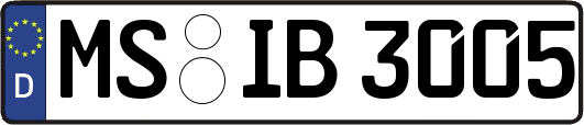 MS-IB3005