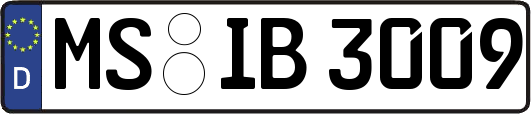 MS-IB3009