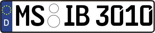 MS-IB3010