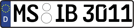 MS-IB3011