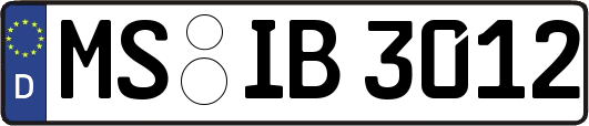 MS-IB3012