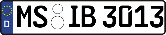 MS-IB3013