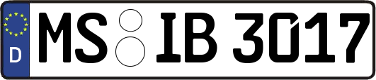 MS-IB3017