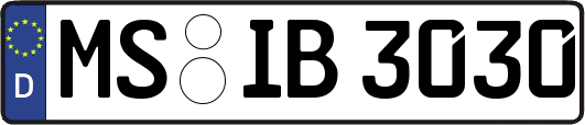 MS-IB3030
