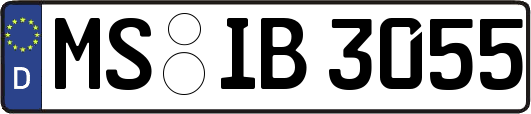 MS-IB3055