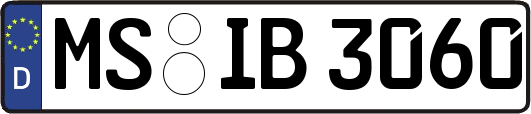 MS-IB3060