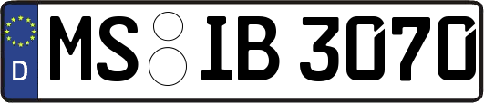 MS-IB3070