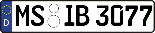 MS-IB3077