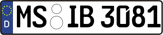 MS-IB3081