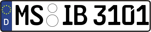 MS-IB3101