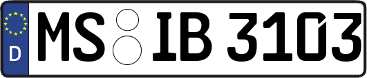 MS-IB3103