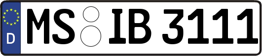 MS-IB3111