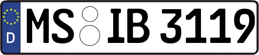 MS-IB3119
