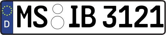 MS-IB3121