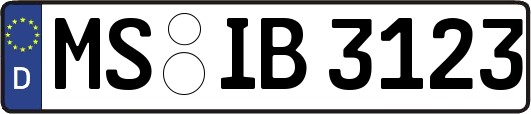 MS-IB3123