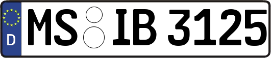 MS-IB3125
