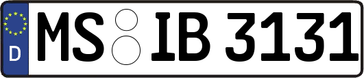 MS-IB3131