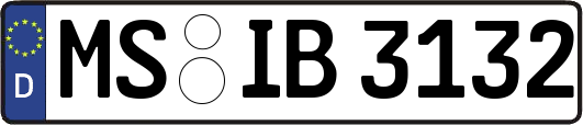 MS-IB3132