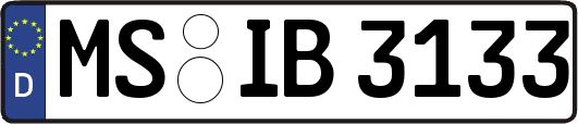 MS-IB3133